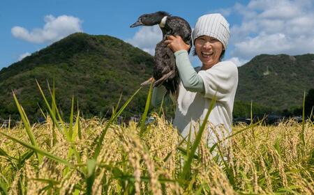 【若づる鴨】有機JAS田んぼで、山田錦を食べて育ったアイガモの内臓、希少肉 [1328] 鴨 合鴨 せせり ささみ レバー ハツ 砂肝