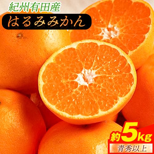 【ふるさと納税】【厳選・濃厚】紀州有田産のはるみ約5kg(Lサイズ)《2026年1月下旬-2月中旬頃出荷予定》和歌山県 日高町 みかん はるみ 厳選 柑橘 フルーツ 送料無料
