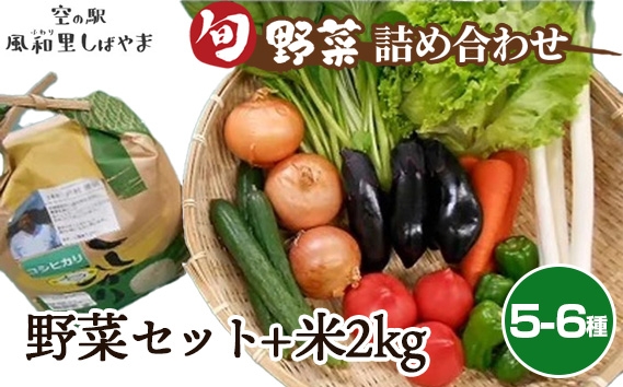 
                  野菜セット（5～6種）+米2kg ／ 野菜 米 季節の野菜 旬 新鮮 コシヒカリ 精米 白米 自慢の逸品 千葉県 No.068
                