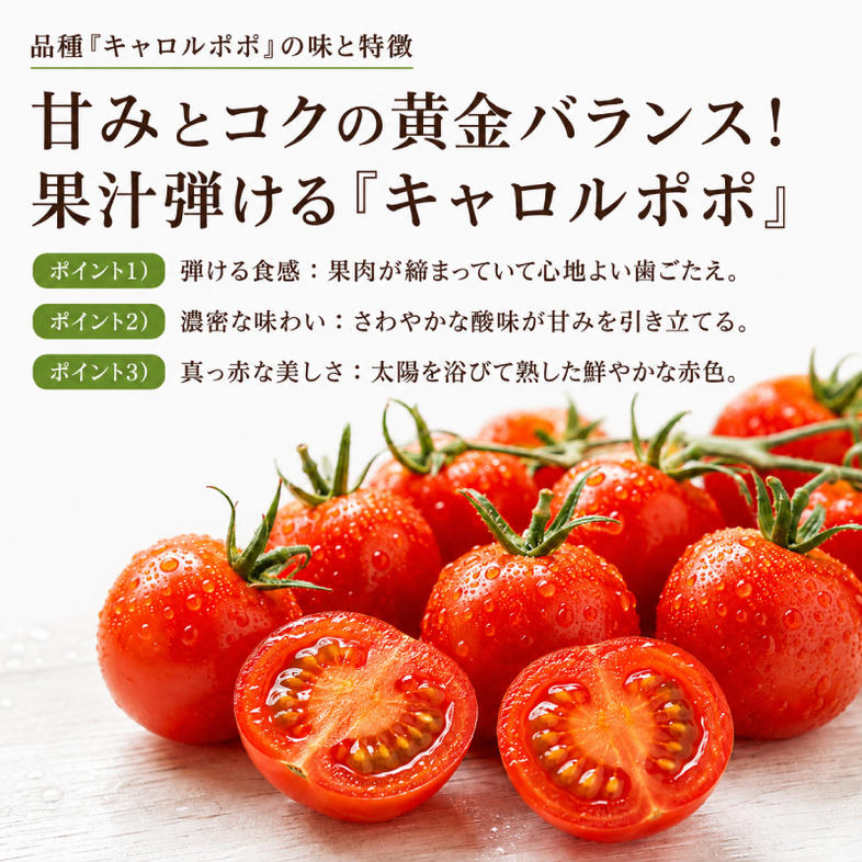 ミニトマト「キャロルポポ」1kg 栽培期間中 農薬・化学肥料