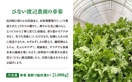 春菊 新鮮で風味豊か！ 約1,000g【45P3207】