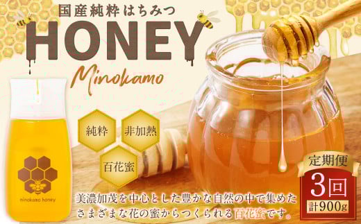 【3ヶ月定期便】国産 無添加 MINOKAMO HONEY はちみつ 1本（300g）×3回 ｜ 藤井養蜂 蜂蜜 ハニー 非加熱 純粋 百花蜜 定期便 岐阜