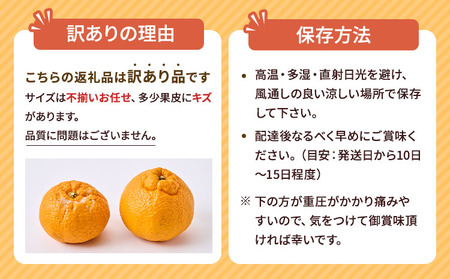  訳あり 不知火 恋する不知火 約10kg 【2026年4月上旬から2026年6月下旬発送予定】 御舩果樹園 