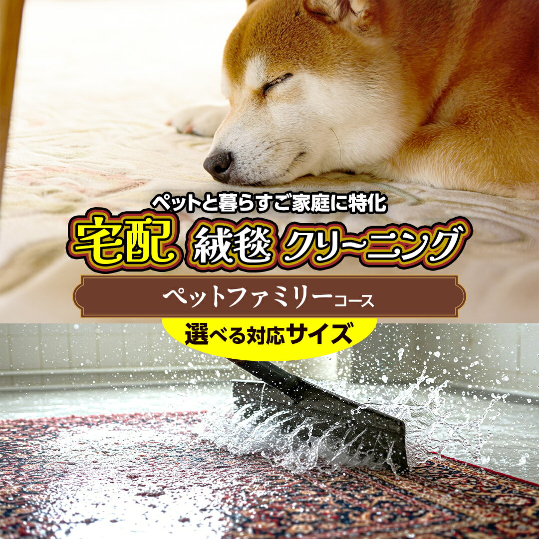 【ふるさと納税】＼選べるサイズ／宅配 絨毯 クリーニング チケット │ ペットファミリーコース 宅配 クリーニング 洗濯 洗浄 清潔 じゅうたん ラグ カーペット 丸洗い マット ニオイ対策 大掃除 ダニ 対策 敷物