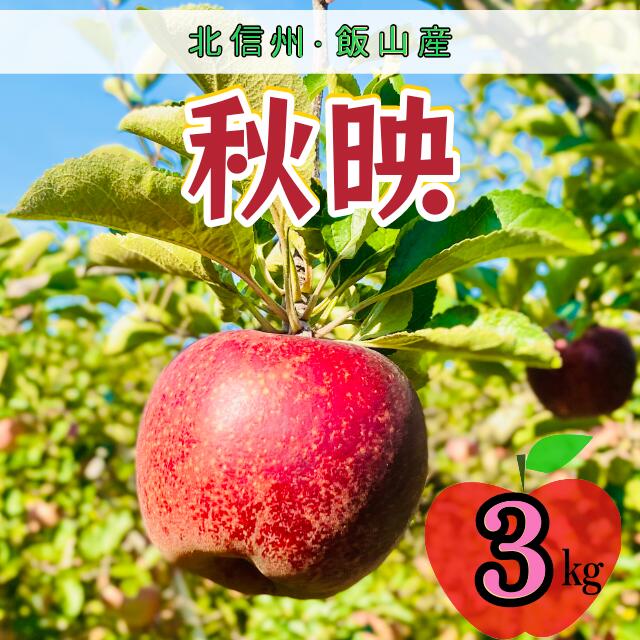 【ふるさと納税】＜先行予約＞秋映（あきばえ）【約3kg(6〜10玉)】＜出荷開始：2025/10月上旬～中旬頃＞(7-A23-1) 【 果物 くだもの フルーツ 林檎 リンゴ りんご 長野 長野県 飯山市 ギフト プレゼント 記念日 誕生日 父の日 母の日 敬老の日 記念品 あきばえ 】