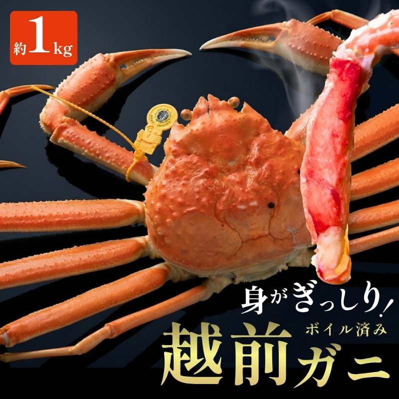 【ふるさと納税】越前ガニ ボイル 約1kg 高島屋 選定品 ズワイガニ かに 海鮮 海産物 海の幸 魚介 魚介類 越前かに 越前カニ 越前がに ずわいがに ずわい蟹 カニ 蟹 ボイルガニ 冷蔵 冷蔵配送 福井 若狭 グルメ　お届け：2026年11月10日～2027年3月20日