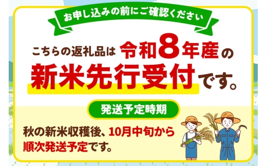 《令和8年産新米先行受付》【定期便5ヶ月】 あきたこまち 精米（白米）20kg（5kg×4袋）令和8年産 秋田食糧卸 [新米 先行受付 あきたこまち ブランド米 お米 白米 精米 米どころ 秋田 秋田