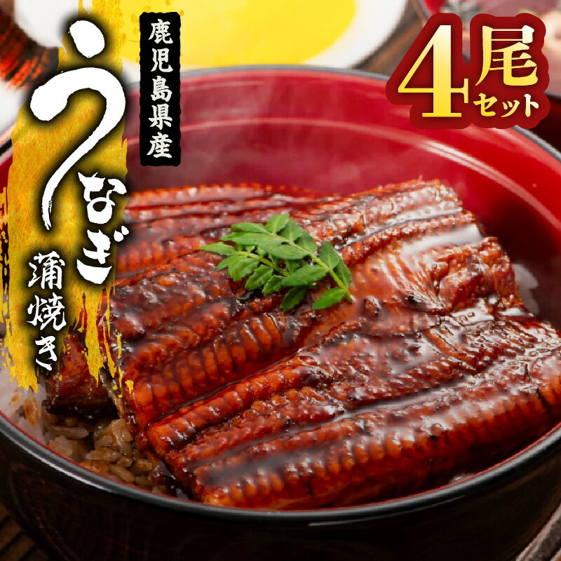 【ふるさと納税】【土用の丑の日特集】＜国産＞ 鹿児島県大隅産！うなぎの蒲焼き4尾(計544g・136g×4尾)うなぎのたれ・山椒付き！無投薬にこだわり！鰻丼やひつまぶしにも！真空パックでお届け！【西日本養鰻】