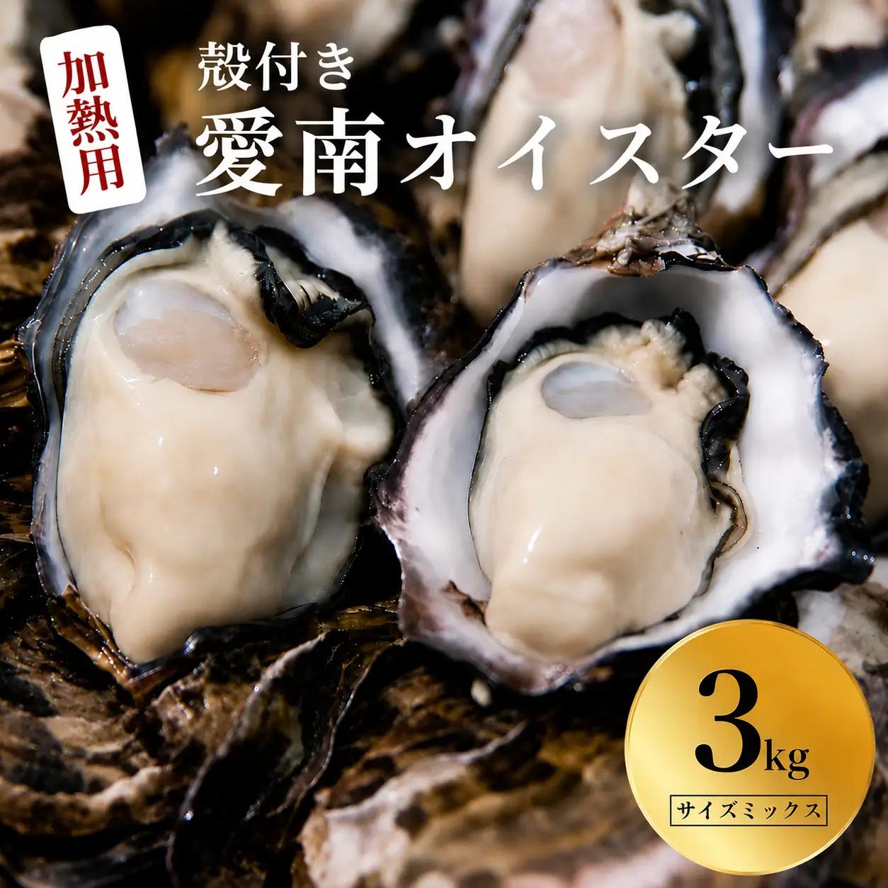 愛南 オイスター 3kg 牡蠣 加熱用 殻付き 牡蠣