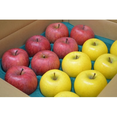 【CAりんご】糖度13度以上保証有袋ふじ×シナノゴールド約5kg訳あり家庭用【配送不可地域：離島・沖縄県】