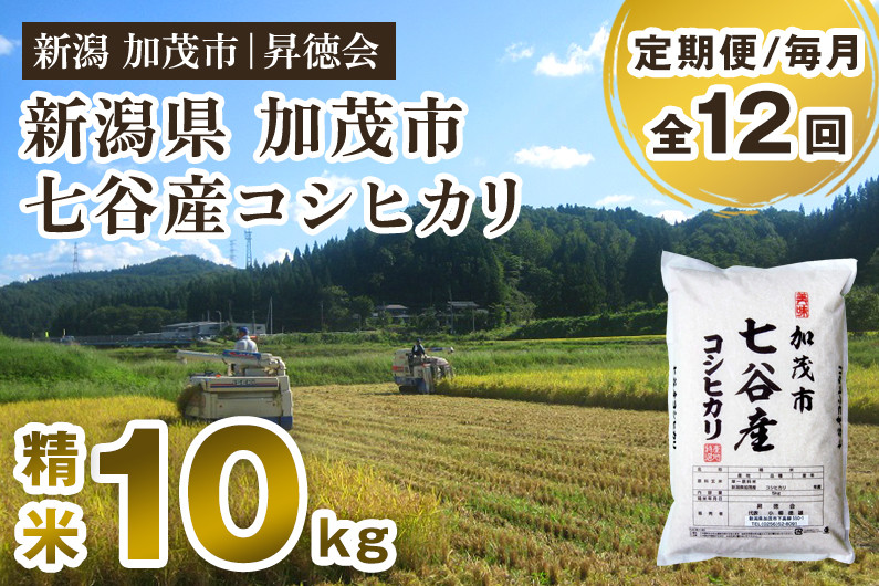 
                  【令和8年産新米先行予約】【定期便12ヶ月毎月お届け】新潟県加茂市 七谷産コシヒカリ 精米10kg（5kg×2）《10月中旬～順次出荷》 白米 高柳地域産数量限定 昇徳会 定期便
                
