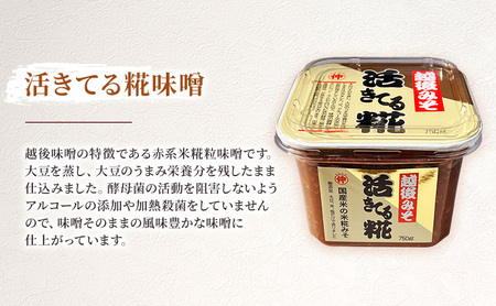 越後味噌食べ比べセット みそ 越後味噌 味噌 3種 食べ比べ セット 越後のこころ 越後雪ひかり 活きてる糀 新潟 
