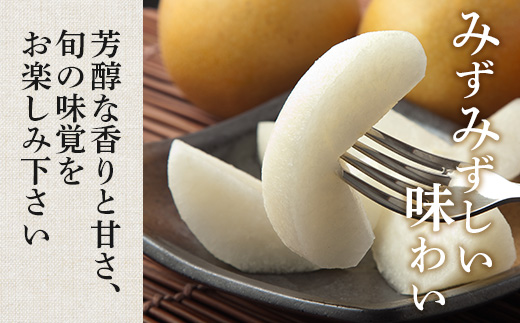 先行予約【2025年7月下旬〜発送分】東光寺 梨 4kg (8〜15玉) 1箱 完熟 梨 なし フルーツ 果物 夏 旬 幸水 豊水 秋月 新高 新興 シャリシャリ 025-0572