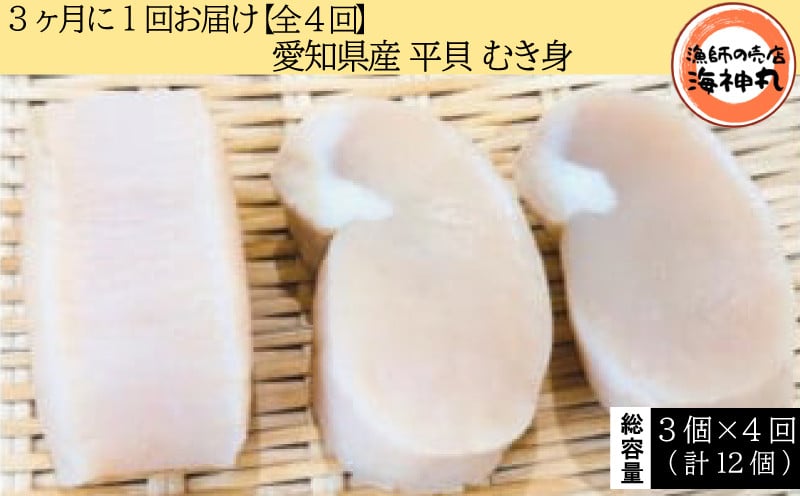 
            【3ヶ月毎定期便】 平貝 (タイラギ) 全4回 3個×4回 12個 冷凍 平貝 タイラギ 貝 魚貝類 魚貝 タイラガイ 魚介 貝類 冷凍 BBQ 平貝 タイラギ 貝 魚貝類 魚貝 タイラガイ 魚介 貝類 冷凍 刺身 平貝 タイラギ 貝 魚貝類 魚貝 タイラガイ 魚介 貝類 冷凍 バター炒め 平貝 タイラギ 貝 魚貝類 魚貝 タイラガイ 魚介 貝類 冷凍 フライ 平貝 魚貝類 魚貝 愛知県 南知多町
          