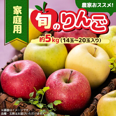 【ふるさと納税】家庭用【令和8年10月発送分】農家おススメ!旬のりんご約5kg【配送不可地域：離島】【1222616】