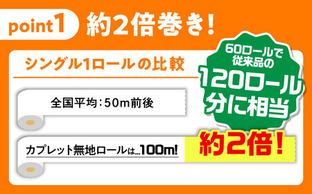 【2回定期便 6カ月に1回】トイレットペーパー  60ロール【シングル 】 北海道・沖縄県・離島への配送不可 日用品 生活用品 エコ 岐阜市 / 河村製紙 [ANBJ008]