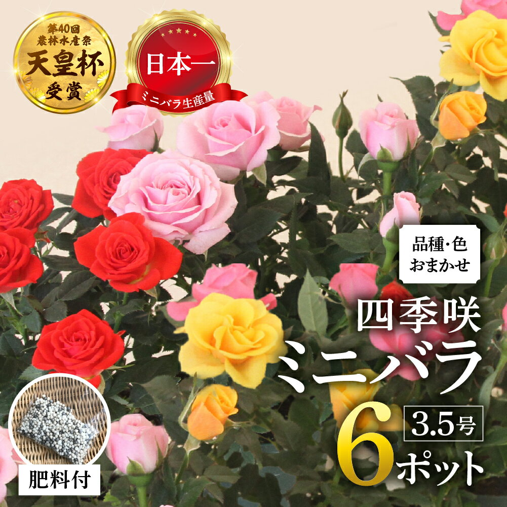 【ふるさと納税】【年内発送】産地直送 おまかせミニバラ6鉢詰め合わせ [11月〜4月 お届け] 品種おまかせ 訳あり 訳アリ 四季咲き ミニバラ 花 家庭菜園 生産量 日本一 3.5号鉢 ポット苗 肥料付 ※沖縄 離島配送不可 薔薇 セントラルローズ [mt1547] 10000円 1万 年内