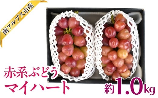 ＜2026年発送先行予約＞赤系ぶどう　マイハート　1.0kg相当　ALPAJ063　くだもの　果物　新鮮　希少種　葡萄　ぶどう　 赤系　美味しい　農家直送　産地直送　ギフト　山梨　南アルプス市
