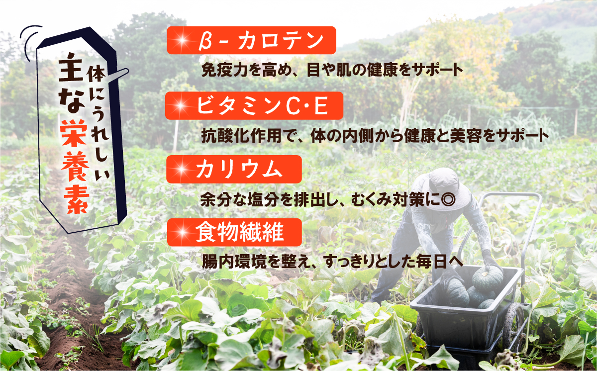 【訳あり】かぼちゃ くり大将 《容量が選べる！》訳あり 茨城県産 くり大将 約3kg (1玉から3玉) / 約5kg (2玉から3玉) / 約10kg (5玉から6玉) 【茨城県 下妻市産 かぼちゃ 