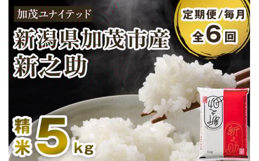 【令和7年産】【定期便6ヶ月毎月お届け】新潟県産 新之助 精米 5kg（5kg×1袋）《順次発送》 新潟県産新之助 新潟産新之助 加茂市産新之助 新之助 しんのすけ 新潟 ブランド米 新之助 加茂市 加茂ユナイテッド