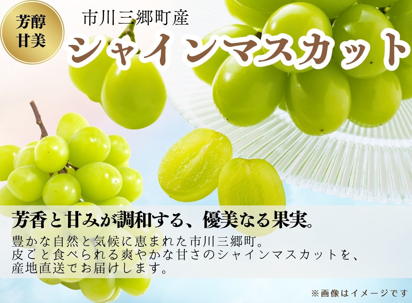 【先行予約】 2025年8月下旬発送！【産地直送】山梨県産：シャインマスカット　2kg箱　塩島農園[5839-1220]