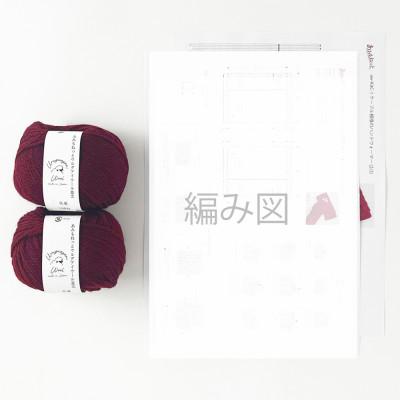 ふるさと納税 江南市 毛糸2玉で編めるケーブル模様のハンドウォーマーキット 13番色 |  | 01