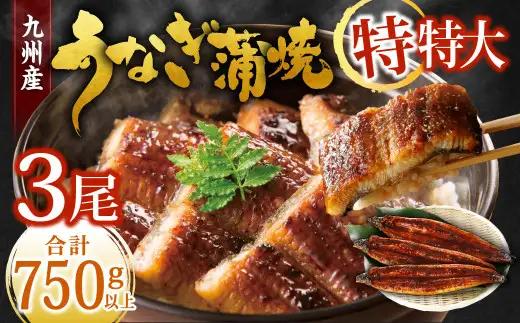 九州産 うなぎ蒲焼 特特大3尾 (1尾あたり250～266g) 合計750g以上【2026年8月発送】