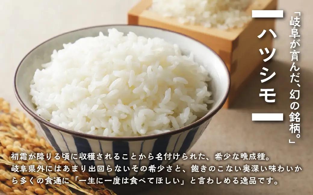 【生活応援】 米 5kg ハツシモ 令和7年産 米
