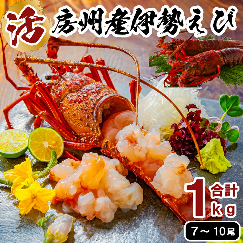 【ふるさと納税】活★房州産伊勢えび(房州海老)総量 1kg【おがくず梱包】 千葉県 南房総市 水揚げ 天然 ボイル 刺身 味噌汁 名物 食品 お取り寄せ グルメ 新鮮 鮮度 海の幸 魚介 海鮮 送料無料