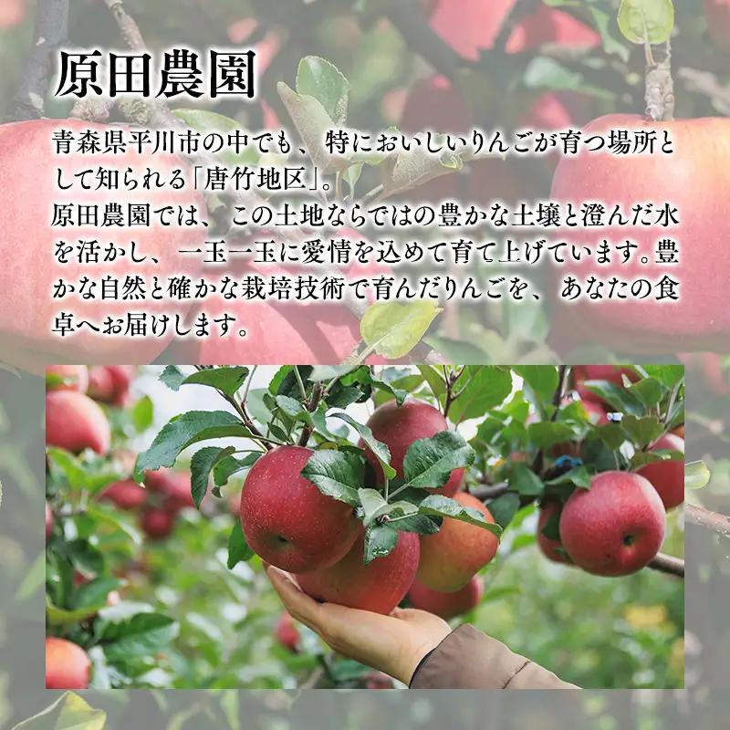 りんご 家庭用 王林 約5kg【hi-0068-027】