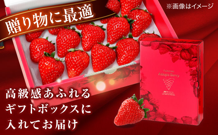 島根県松江市「のつ農園」　完熟いちご「福富アダージョベリー」　15個入り 島根県松江市/山陰中央テレビジョン放送株式会社 [ALFI004]