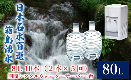箱島湧水群馬の名水天然水 サーバー付 箱島湧水【8L 計10本(2本×5回)】