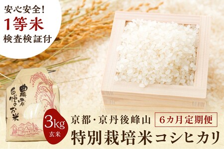 【6ヶ月定期便】2025年産 京都・京丹後峰山 特別栽培米コシヒカリ 3kg 【玄米】 1等米 検査済証付