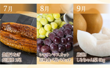 豊橋 どうまい 定期便 全12回 いちご / トマト / えび / 鴨肉 / ミニトマト / アイス  / シャインマスカット / 梨 / 焼き芋 / 柿 / 牛肉  高評価 お楽しみ ぶどう フルー