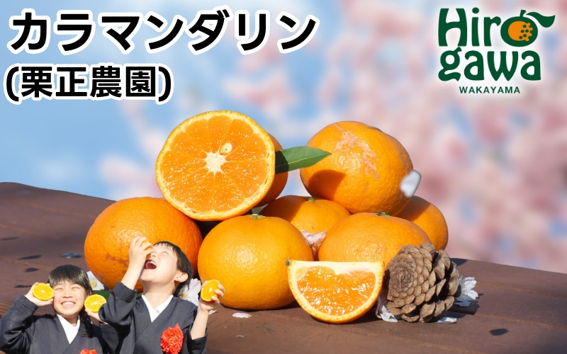 
            タカじいの カラマンダリン 家庭用 5kg サイズおまかせ M～2L / カラ カラオレンジ カラみかん 訳あり 和歌山 有田 柑橘 ※4月中旬〜5月に順次発送 【krs015-c-5A】
          