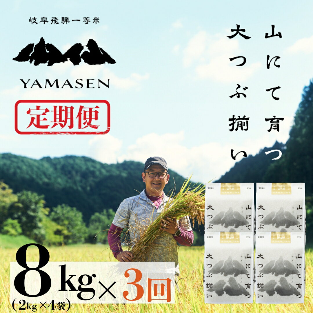 【ふるさと納税】 新米予約【定期便】山仙（いのちの壱） 8kg (2kg × 4袋) × 3回 山仙組合（有限会社 すがらたいす） 下呂市 金山産 24キロ 米 2025年産 お米 精米 白米 ご飯 ごはん 農家直送 送料無料 新米 令和7年 令和7年産 2025年産 新米予約 先行予約