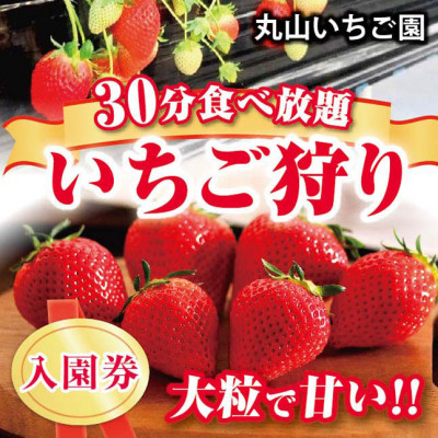 
            ＜丸山いちご園＞群馬が誇る”新食甘(感)”苺「やよいひめ」いちご狩り入園券(3名様分)2025【1484423】
          