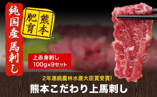 馬刺し 上赤身 ブロック 国産 熊本肥育 冷凍 生食用 たれ付き(10ml×3袋) 100g×9セット 《90日以内に出荷予定(土日祝除く)》 肉 期間限定 絶品 牛肉よりヘルシー 馬肉 予約 平成27年28年 農林水産大臣賞受賞 熊本県長洲町