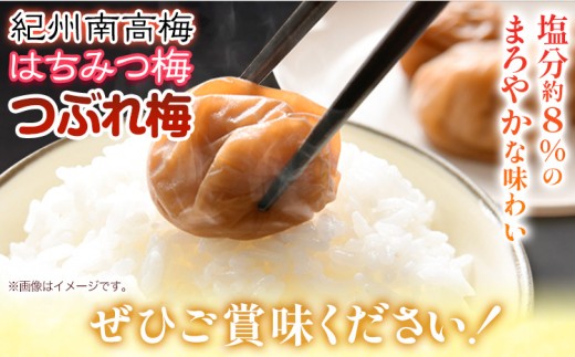 ご家庭用 とろける果肉 紀州南高梅 はちみつ梅 つぶれ梅 大容量 900g 有限会社プラム《30日以内に出荷予定(土日祝除く)》和歌山県 日高川町 梅 うめ ウメ 南高梅 梅干し 梅干 つぶれ梅 蜂蜜