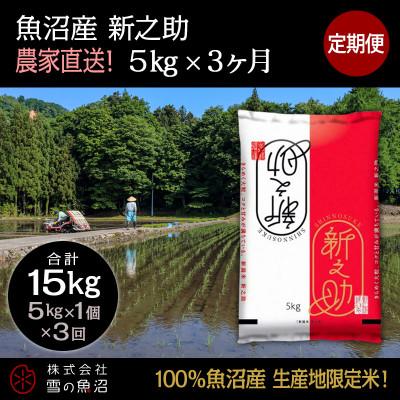 ふるさと納税 十日町市 【毎月定期便】【中里地域限定!魚沼産 新之助】5kg(5kg×1袋)×3 合計15kg全3回