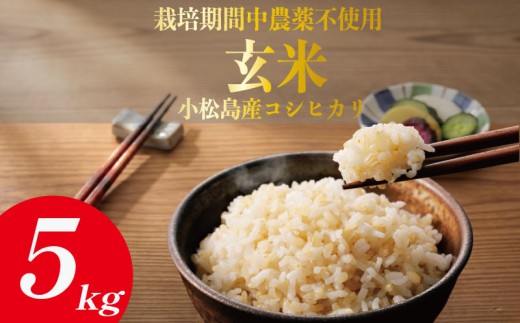 【 栽培期間中農薬不使用】玄米 5kg コシヒカリ 令和7年産 米 こめ ご飯 ごはん おにぎり 卵かけご飯 白米 食品 備蓄 備蓄米 保存 防災 ギフト 贈答 プレゼント お取り寄せ グルメ 送料無料 徳島県