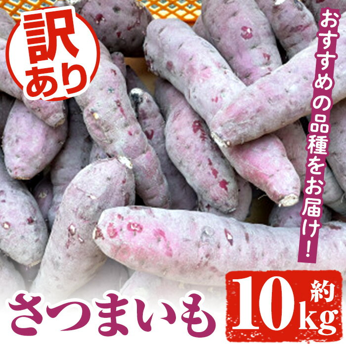【ふるさと納税】＜先行予約受付中！2025年8月下旬以降順次発送予定＞訳あり！さつまいも (約10kg) 鹿児島県 阿久根市 さつま芋 サツマイモ 紅はるか 紅さつま シルクスイート 訳アリ 野菜 芋 イモ【松永青果】akn053-20