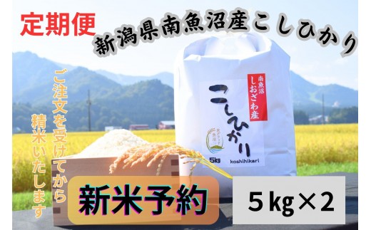 【令和8年産・新米予約・定期便】新潟県南魚沼市の豊かな自然が育んだ、極上のコシヒカリ　10kg×6か月【2026年9月下旬より1ヶ月以内に順次発送予定】