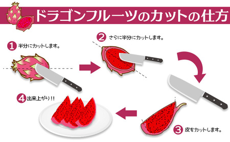 2026年発送【奄美大島産】ドラゴンフルーツ赤 約3kg（6～10玉入） 果物  フルーツ