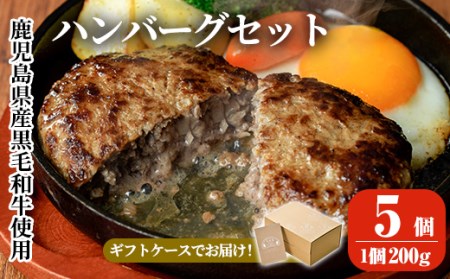 ハンバーグ ハンバーグセット 小分け 黒毛和牛 200g×5パック 【AKR Food Company】 a750
