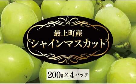 最上町産【シャインマスカット】200g×4P