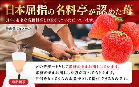 煌稀の果実　高知市春野町産 苺 超大粒（約600g・9または12粒）＜2025年1月 から発送開始＞