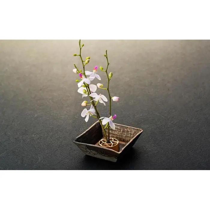 花をみずみずしく長持ち！銅合金製 針のない剣山と金属釉 水盤のセット（Petal Sサイズ）