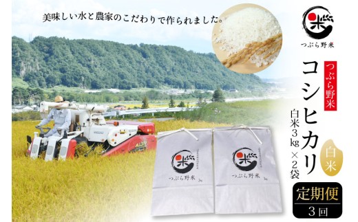 米 令和8年 3回 定期便 つぶら野米 コシヒカリ 白米 3kg×2袋×3回 総計18kg [つぶら野米 山梨県 韮崎市 20743386] こめ コメ お米 精米 こしひかり
