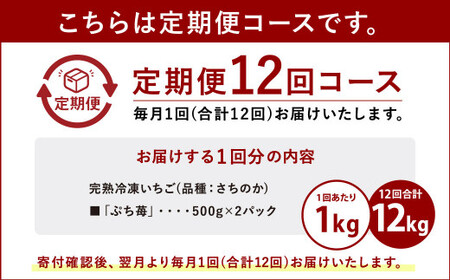 いちご 【12ヶ月定期便】冷凍いちご 1㎏ (500g×2パック) 「ぷち苺」園村苺園 熊本県産冷凍いちご 宇城市産冷凍いちご 九州産冷凍いちご 